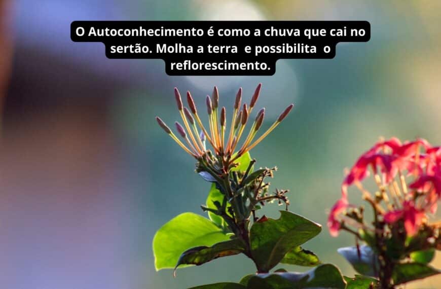 A Ignorância e a Busca pelo Sentido