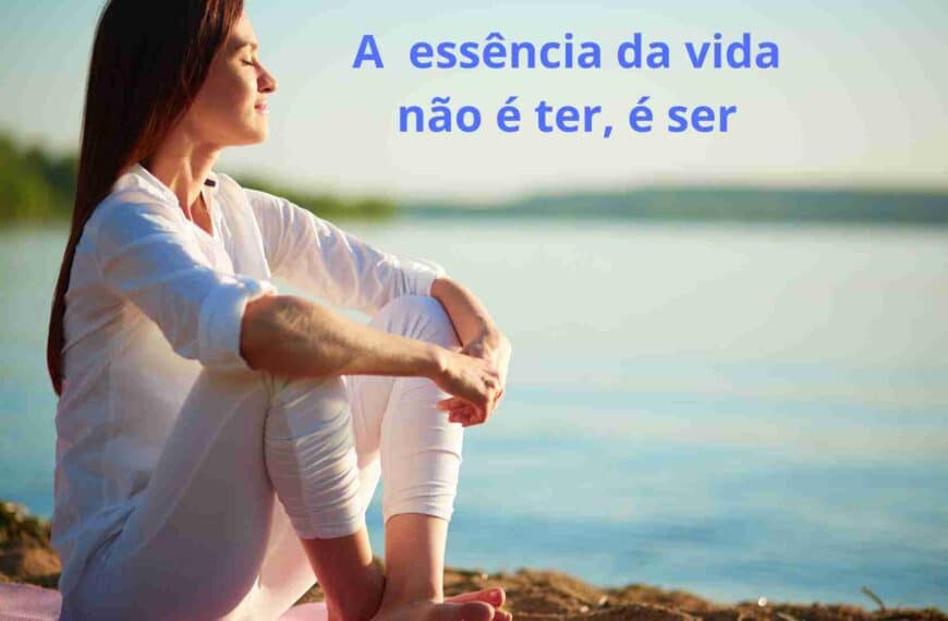 A essência da Vida