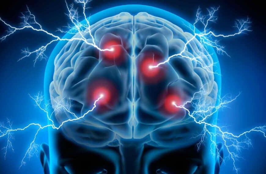 Sistema de defesa a dança dos Neurotransmissores