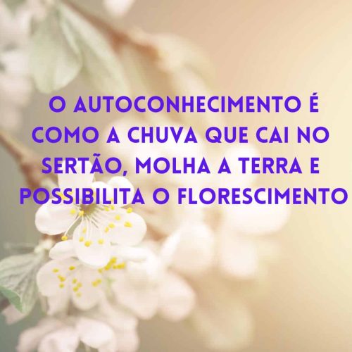 A Ignorância e a Busca pelo Sentido: Navegando Rumo à Harmonia