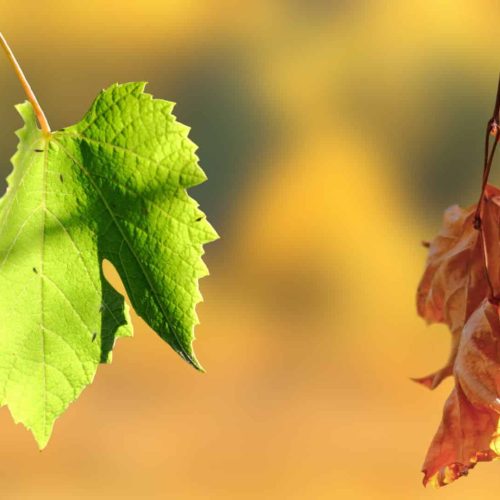 xr:d:DAGCOuk1fnQ:5,j:1462968644400366178,t:24041219