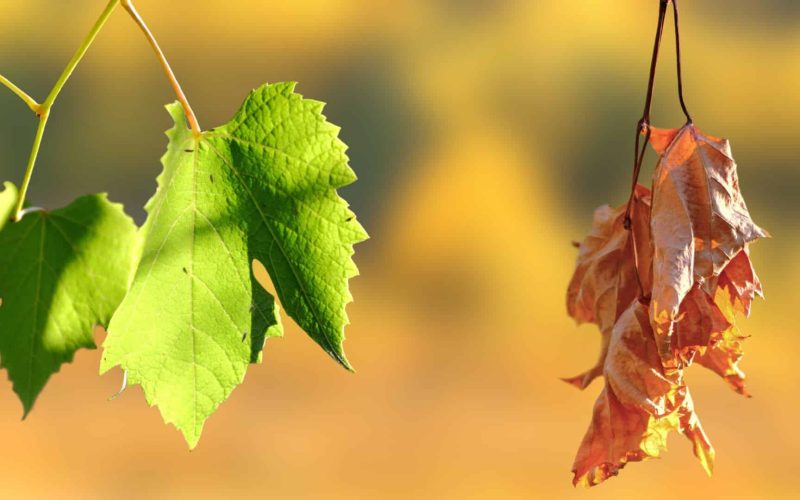 xr:d:DAGCOuk1fnQ:5,j:1462968644400366178,t:24041219